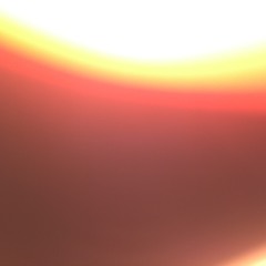 sequence (bloom)(2013)