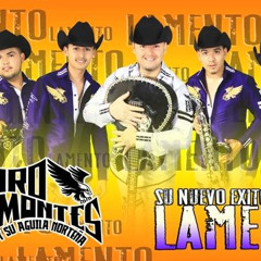 Alvaro Montes Y Su Aguila Norteña - Lamento