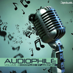 Interactive noise-Just be Crazy. (V.A Audiophile Vol.4 ) By Spin Twist.