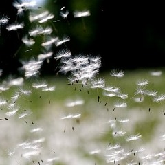 Gió Đông Ấm Áp - NTA Emo ft. Mai Miss