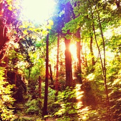 Emerald Crickets of Hope