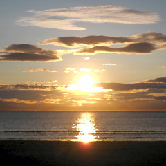 Look at the Ocean (advice to Bowie)