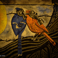 ولسّاهم أسود - بصوت وكلمات سالي توما