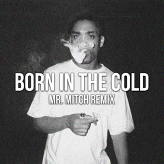Wiley - Born In The Cold (Mr. Mitch Remix)