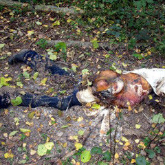 Befouler - Rotting Corpse (ft. Suffering)