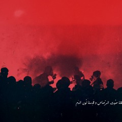 محمد محمود