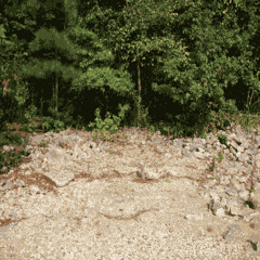 Nutcracker March (Quickly Made remix)