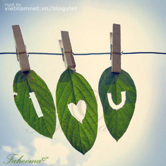 Không Bao Giờ Anh Hết Yêu Em - Nz