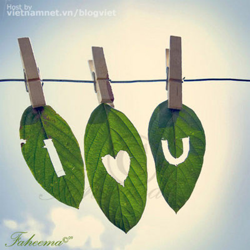 Không Bao Giờ Anh Hết Yêu Em - Nz