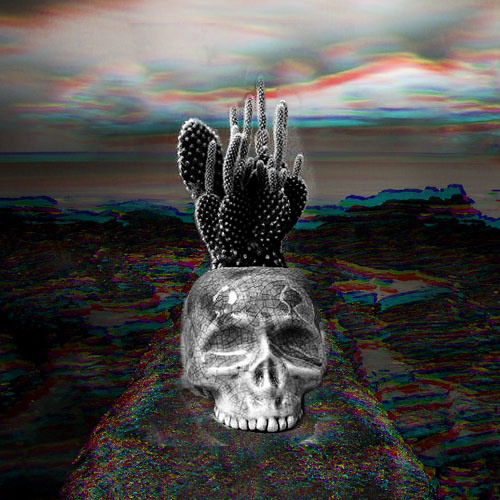 Katritek -Tequila