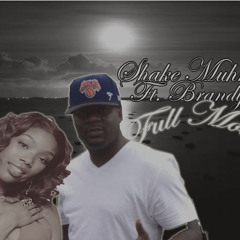 FULL MOON - SHAKE MUHNEE FT. BRANDY