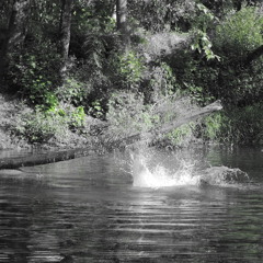 André Leite - Moscada Pt III