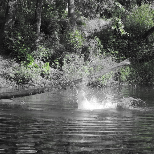 André Leite - Moscada Pt III