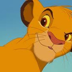 Sun Kissed (Lion King Stampede scene RemiX)