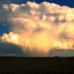 Cute boobs ringtone/message tone