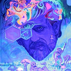 Psychedelic Consciousness