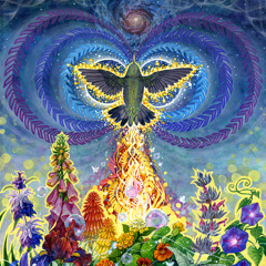 Sufi Swing - Chrysanthemum Portal (Sufi Tabla Live Version)(Feb 6 2010)