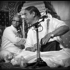 TN Seshagopalan - Maanasa Guruguha - Aananda Bhairavi