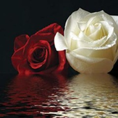 LOVE STORY NEW LEAK.. Kobe Kane