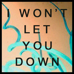 I WON'T LET YOU DOWN