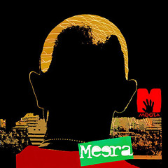 Meera- Wound