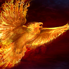 Flight Of The Phoenix