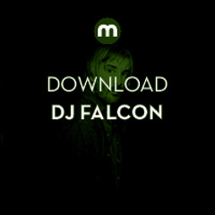 Download: DJ Falcon 'Vulture Mix'