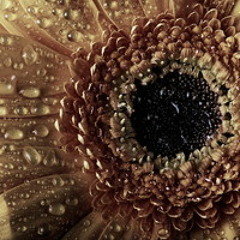 Re:  唔講你知，詐唔知