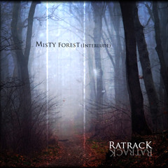 Misty Forest (interlude)