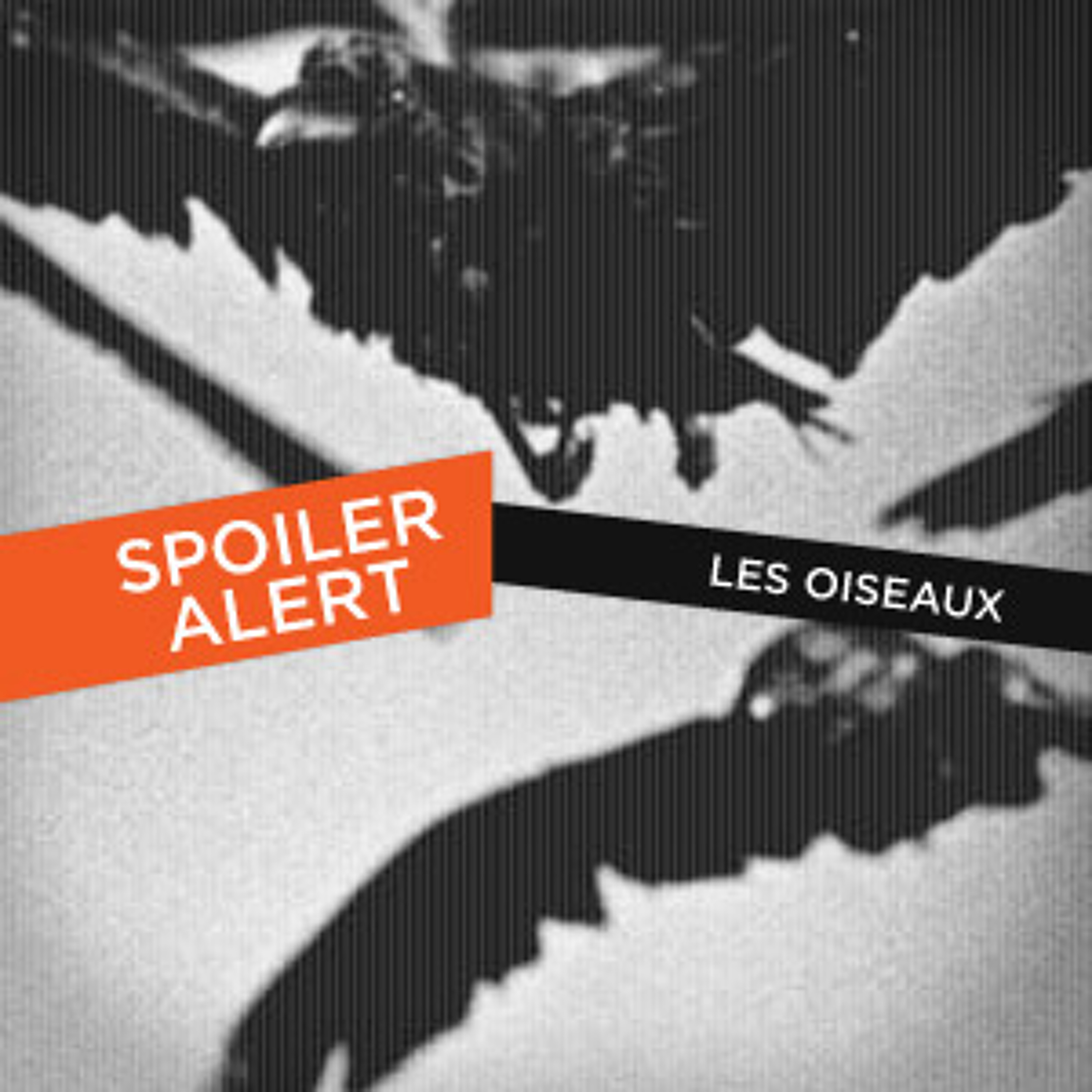 [SA] Les Oiseaux