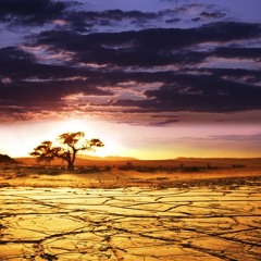 African Vibes - Orchestra&Native