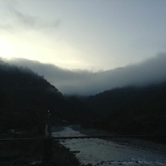 Yoshimatsu 雪占 I