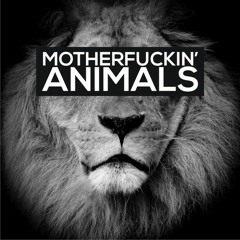 Martin Garrix - Animals (My version)