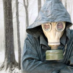 The Linden Tree - John Friendly