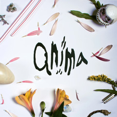 team rockit - stigma