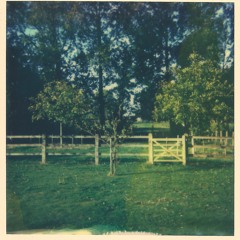 Being in Mint Condition