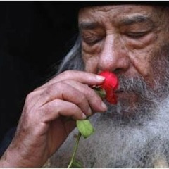 الحب ...البابا شنودة الثالث