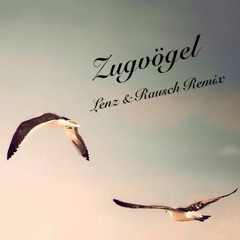 Trans_Mitter - Zugvögel (Lenz & Rausch Remix)