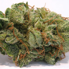 Distorted Talk VS BreakSystem VS Dexter -__- Pineapple Express (demo)