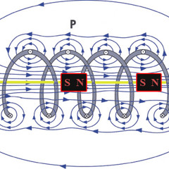 Coil Shock