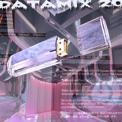 DATAMIX 20