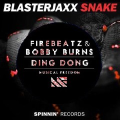 Ding Dong Snake (White Noise Edit)