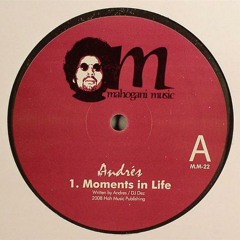 Andrès - Moments In Life