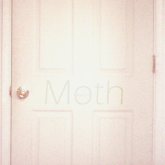 Moth