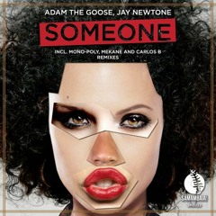 Adam The Goose, Jay Newtone - Someone (Mono-Poly Remix) "Teaser" [Samambaia Records]