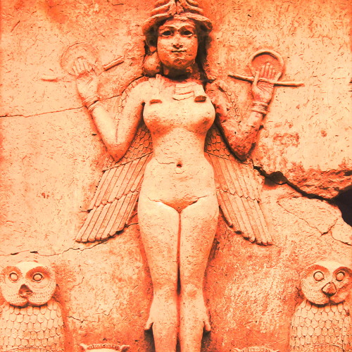 clothed like birds, with wings as garments (2013)