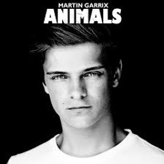 PW 20131010 - MartinGarrixAnimals - DEMO