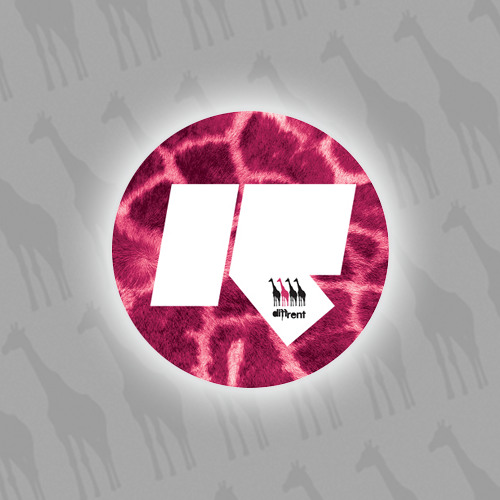 Rinse FM ~ Diffrent Music (19th Nov 2013)