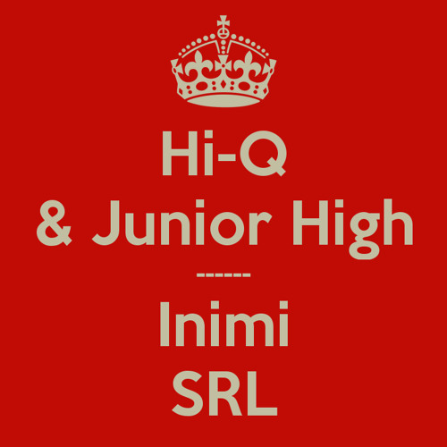 hi-q inimi srl hi-q inimi srl