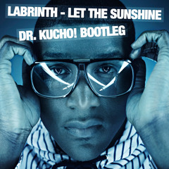 Labrinth - Let The Sunshine - Dr. Kucho! Bootleg (DOWNLOADABLE)